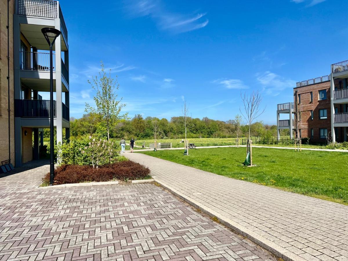 Olea Tree House Cambridge Exterior foto